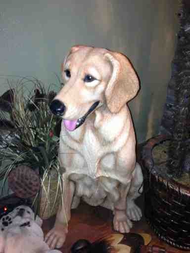 Name:  ImageUploadedByTapatalk1352855279.605942.jpg
Views: 156
Size:  28.6 KB