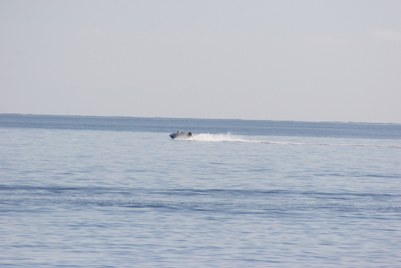 Name:  IMG_1773.JPG
Views: 235
Size:  164.1 KB