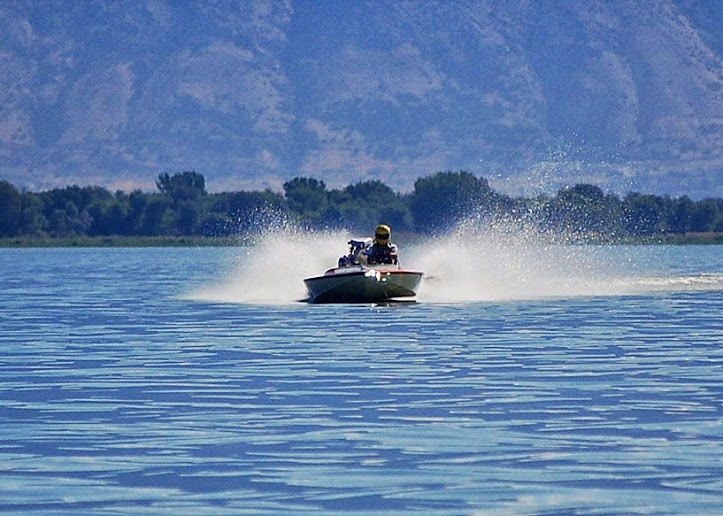 Name:  DSC_0156.JPG
Views: 77
Size:  96.3 KB