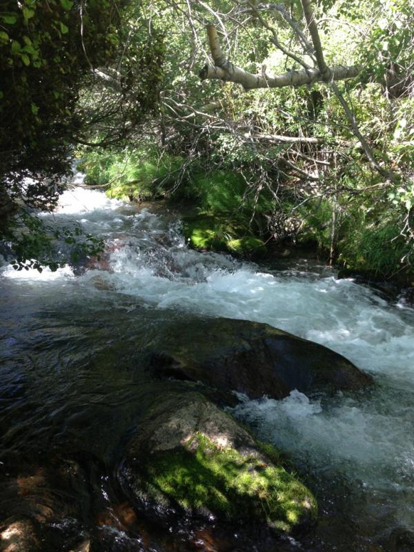 Name: ImageUploadedByTapatalk1376068017.723131.jpg
Views: 149
Size: 107.4 KB