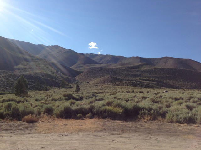 Name:  ImageUploadedByTapatalk1376273202.403780.jpg
Views: 85
Size:  73.7 KB