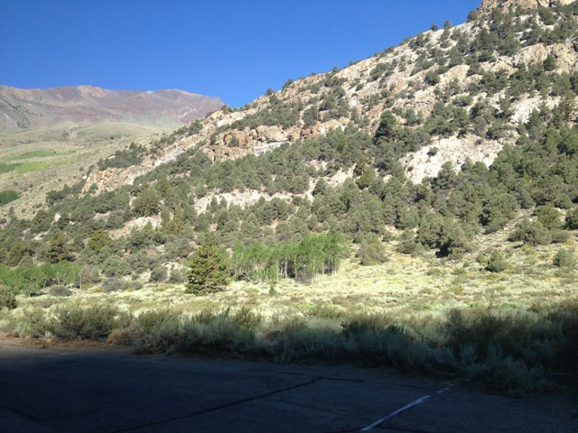 Name:  ImageUploadedByTapatalk1376273443.804257.jpg
Views: 88
Size:  116.3 KB