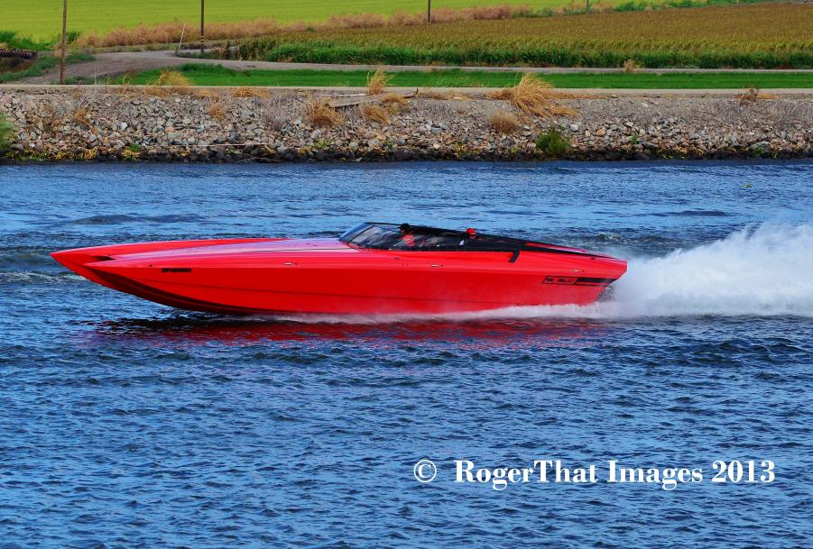 Name:  DSC_0081.jpg
Views: 139
Size:  138.3 KB