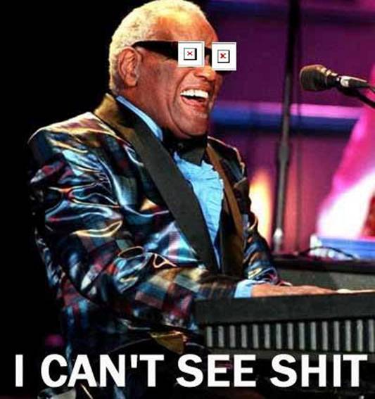 Name:  ray-charles-i-cant-see-shit.jpg
Views: 109
Size:  41.5 KB