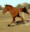 Name:  2_legged_horse_gif_480_480_0_64000_0_1_0.jpg
Views: 114
Size:  3.2 KB