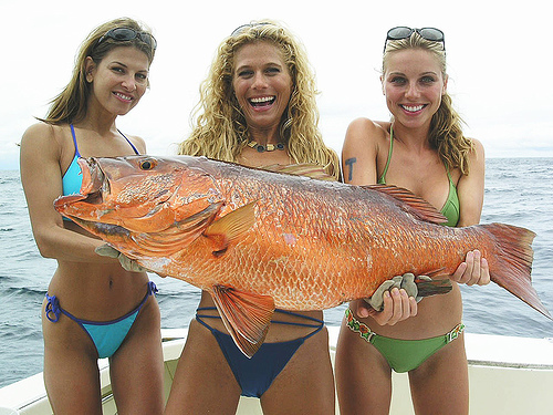 Name:  Hot-Girls-Fishing-6.jpg
Views: 119
Size:  147.4 KB