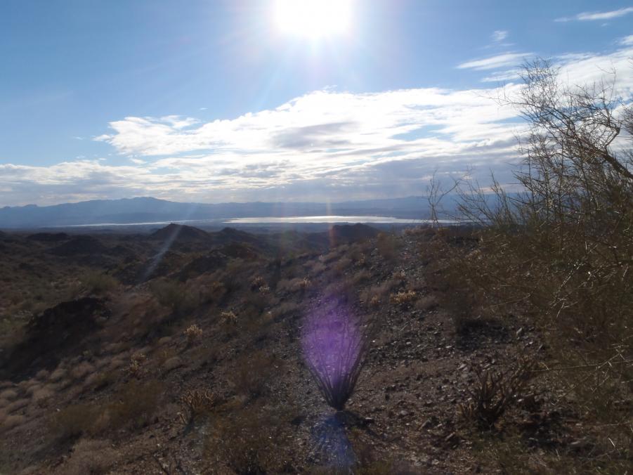 Name:  new years 041.jpg
Views: 183
Size:  75.8 KB