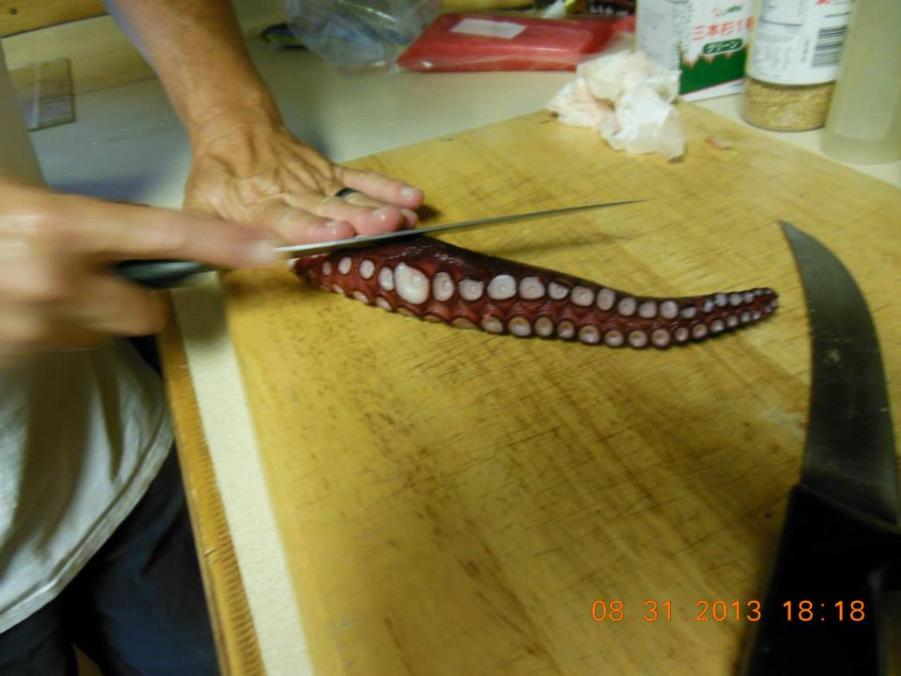Name:  tako.jpg
Views: 478
Size:  57.7 KB