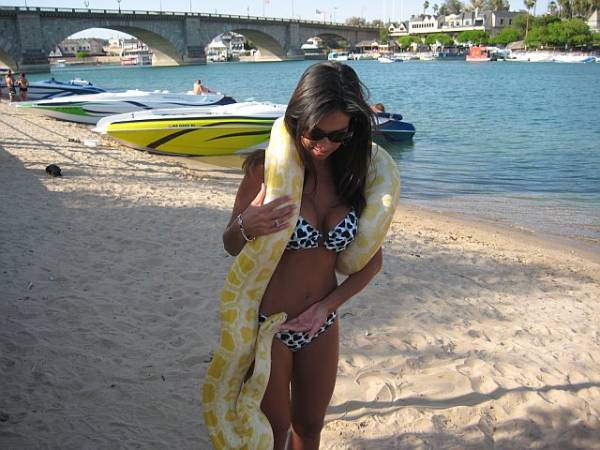 Name:  112381296306_0_BG.jpg
Views: 698
Size:  47.7 KB