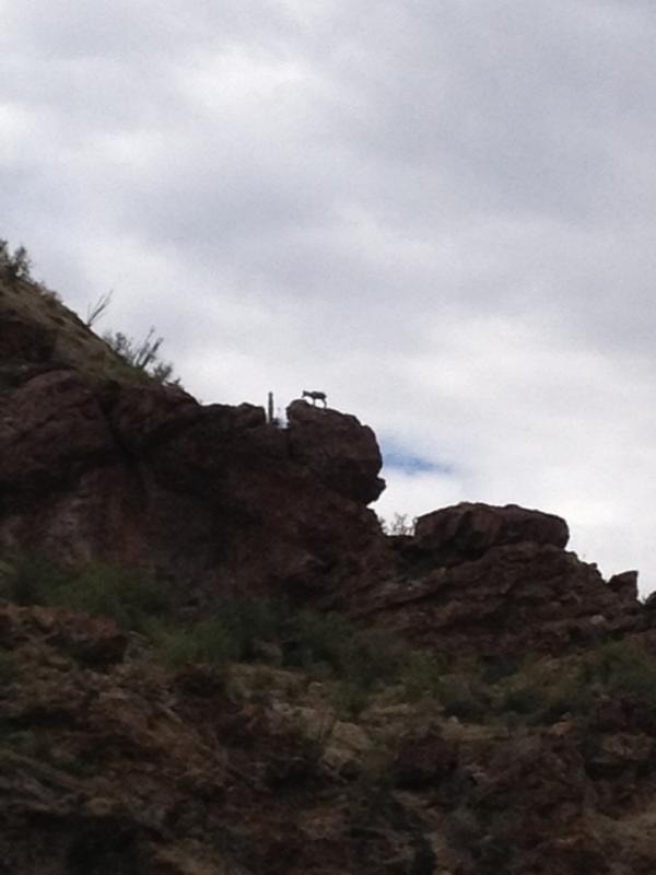 Name: ImageUploadedByTapatalk1378612871.168526.jpg
Views: 143
Size: 35.5 KB