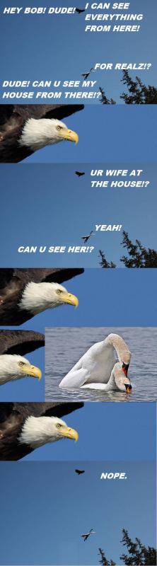 Name:  ZO4gx.jpg
Views: 83
Size:  24.6 KB