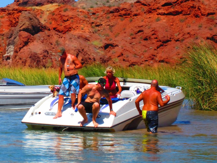 Name:  sue havasu pics 174.jpg
Views: 262
Size:  120.0 KB