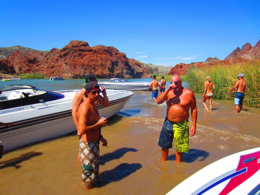 Name:  sue havasu pics 175.jpg
Views: 264
Size:  88.4 KB