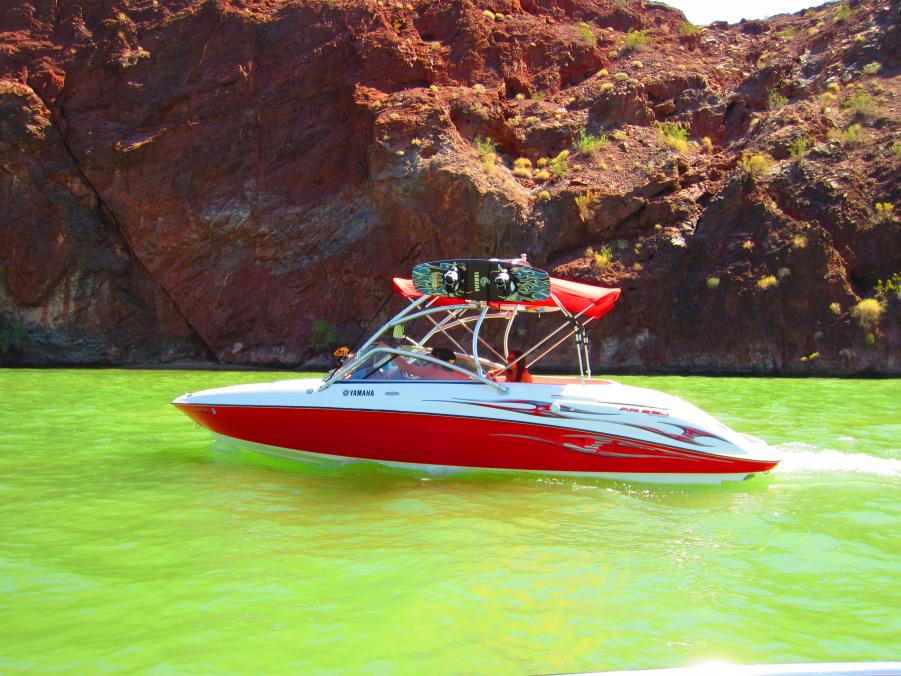 Name:  sue havasu pics 177.jpg
Views: 260
Size:  108.4 KB
