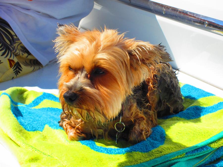 Name:  sue havasu pics 225.jpg
Views: 263
Size:  92.9 KB