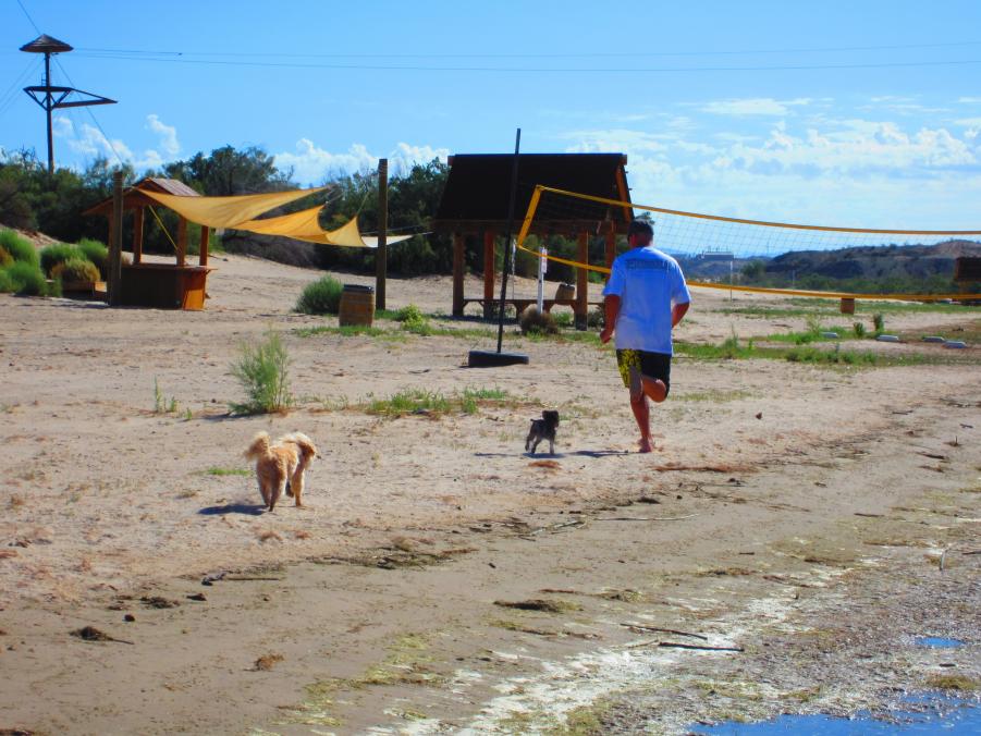 Name:  billy b and cheetah house 100.jpg
Views: 213
Size:  101.9 KB