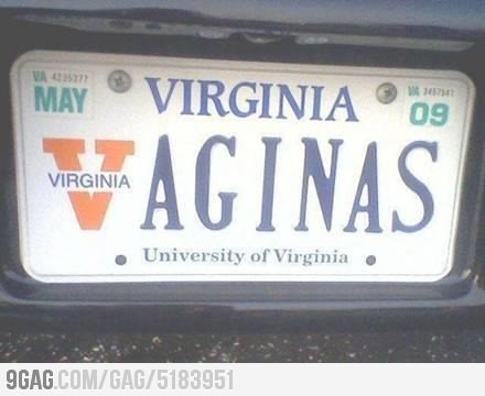 Name:  virginia.jpg
Views: 931
Size:  39.6 KB