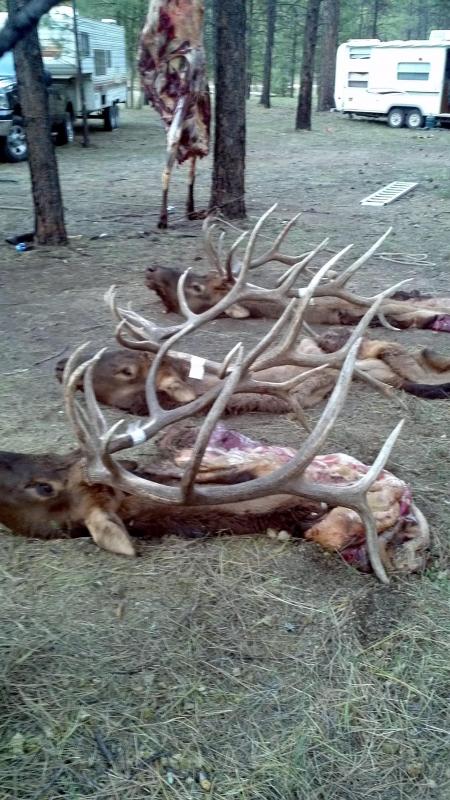 Name:  elk1.jpg
Views: 269
Size:  83.9 KB