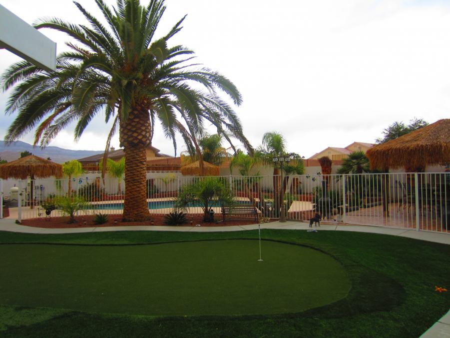 Name:  sues pics havi and house in vegas 107.jpg
Views: 203
Size:  86.7 KB