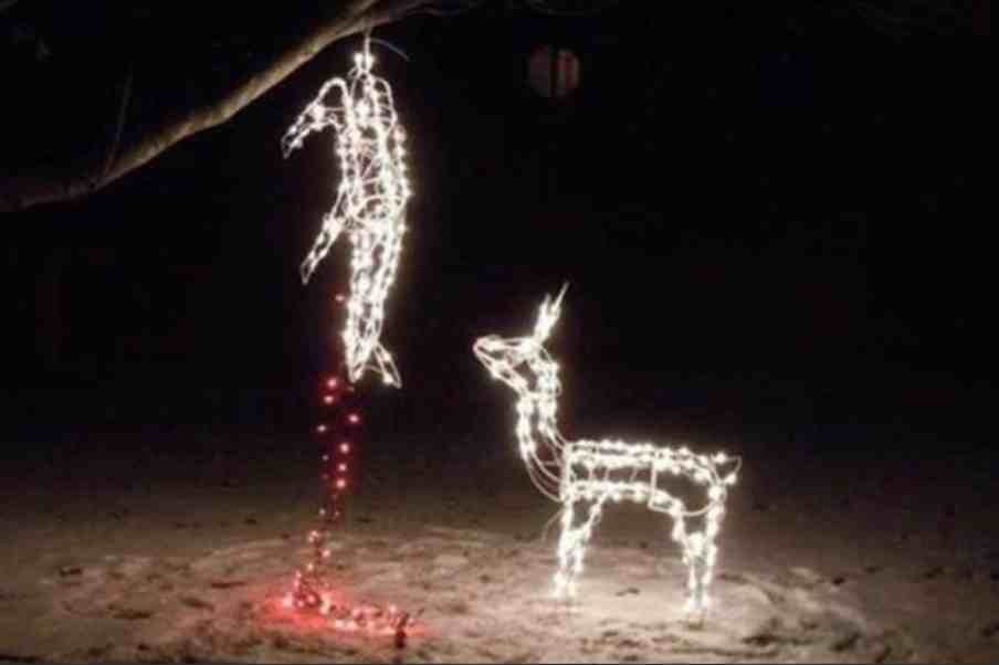 Name: ImageUploadedByTapatalk1354758525.419061.jpg
Views: 334
Size: 36.1 KB