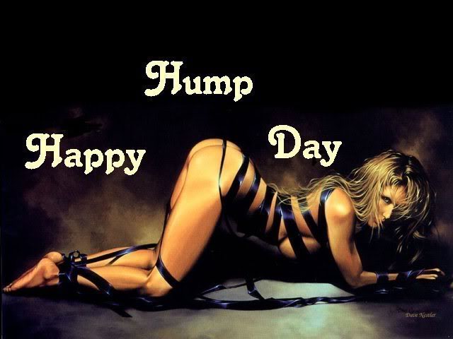 Name:  hump-day.jpg
Views: 150
Size:  41.1 KB