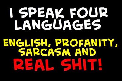 Name:  language.jpg
Views: 467
Size:  22.0 KB
