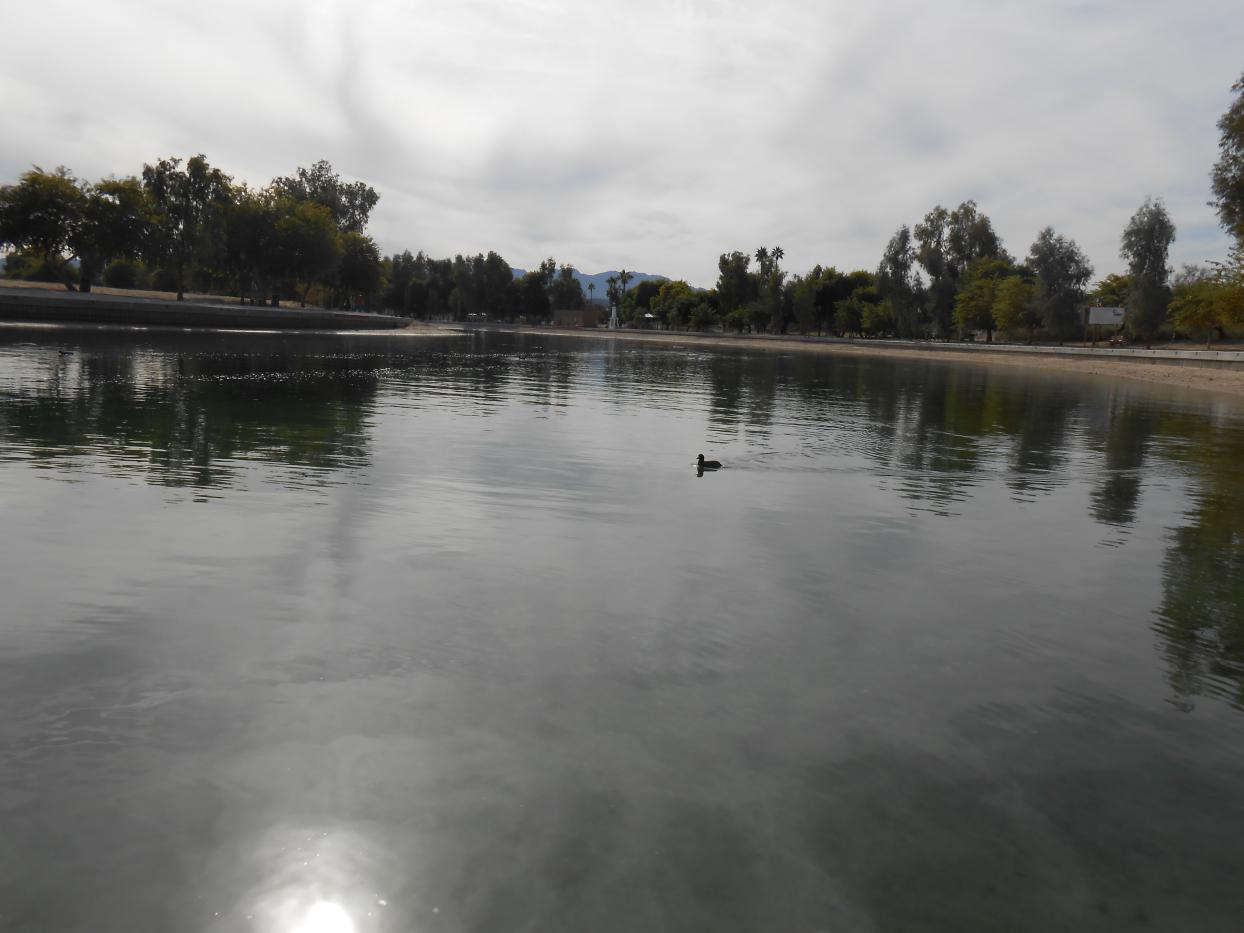 Name: Havasu, Dec. 2012 023.jpg
Views: 261
Size: 86.1 KB