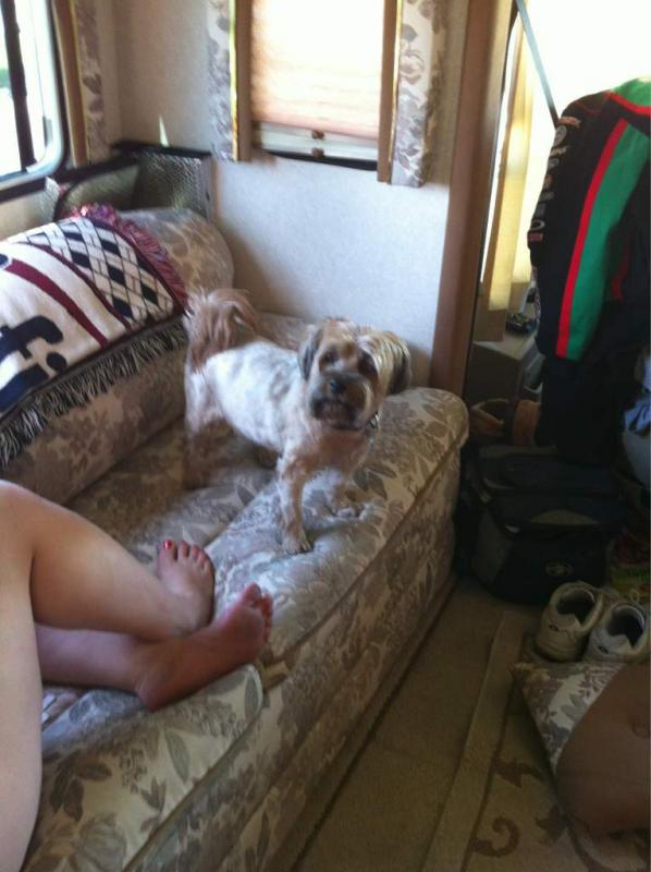 Name:  ImageUploadedByTapatalk1382639861.304386.jpg
Views: 218
Size:  56.1 KB