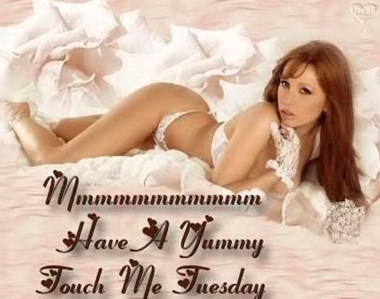 Name:  Tuesday - Touch me tuesday.jpg
Views: 138
Size:  27.8 KB