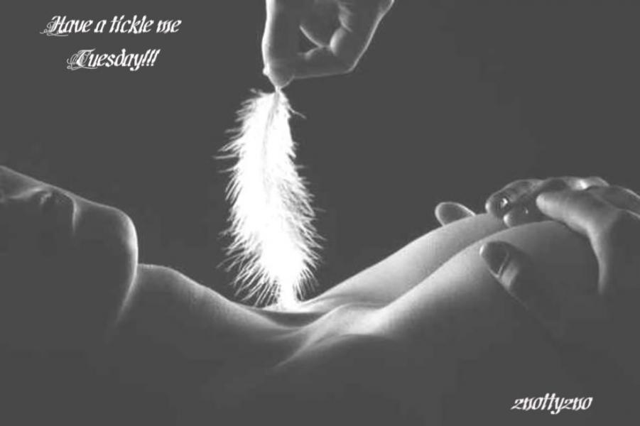 Name:  Tuesday - Tickle me Tuesday.jpg
Views: 136
Size:  27.7 KB
