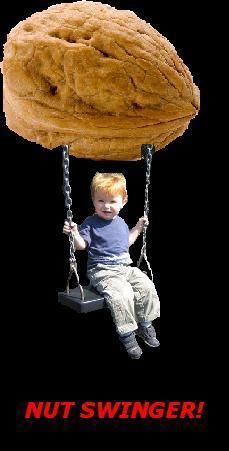 Name:  NutSwinger.jpg
Views: 123
Size:  17.7 KB