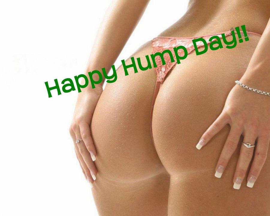 Name:  Hump day.jpg
Views: 105
Size:  55.6 KB