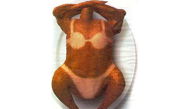 Name:  Thanksgiving1.jpg
Views: 180
Size:  31.1 KB