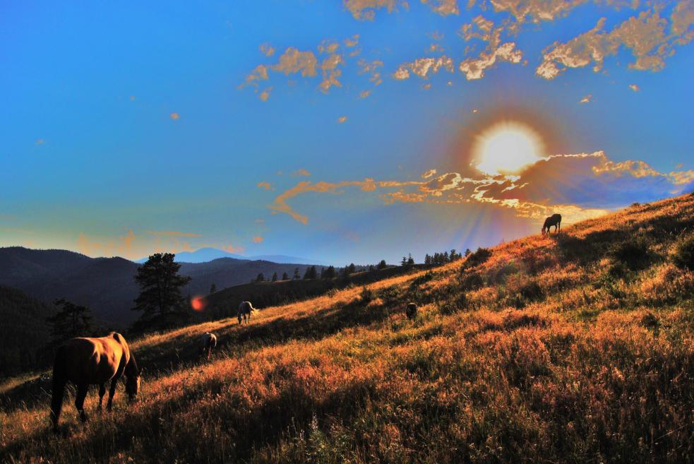 Name:  Kretz ranch.jpg
Views: 212
Size:  96.5 KB