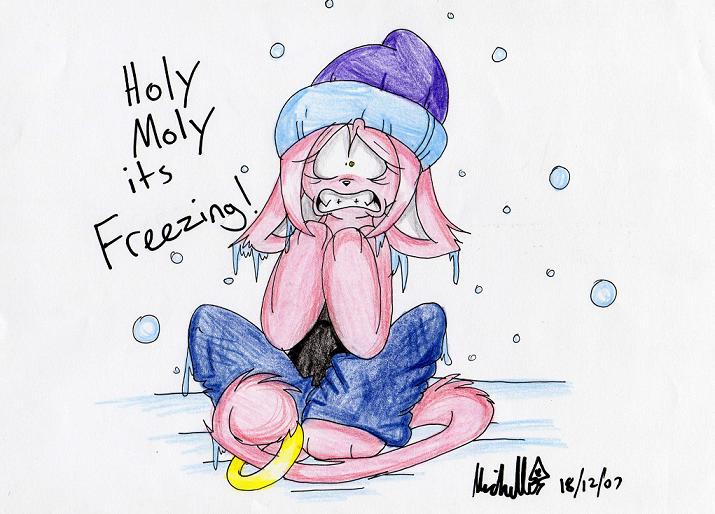 Name:  Freezing1.jpg
Views: 145
Size:  56.0 KB
