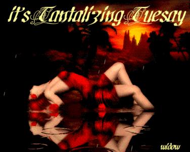 Name:  Tuesday.jpg
Views: 129
Size:  19.6 KB