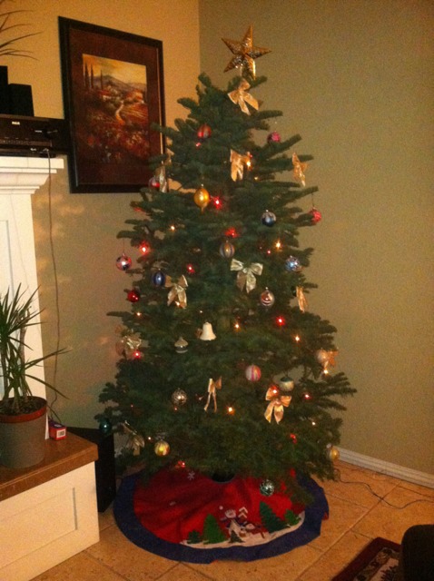 Name:  ImageUploadedByTapatalk1387051482.905375.jpg
Views: 118
Size:  88.3 KB
