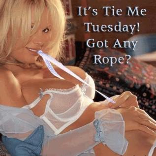 Name:  Tuesday4.jpg
Views: 153
Size:  19.1 KB