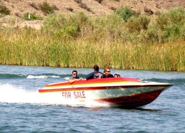 Name:  IMG_3497.jpg
Views: 506
Size:  487.9 KB