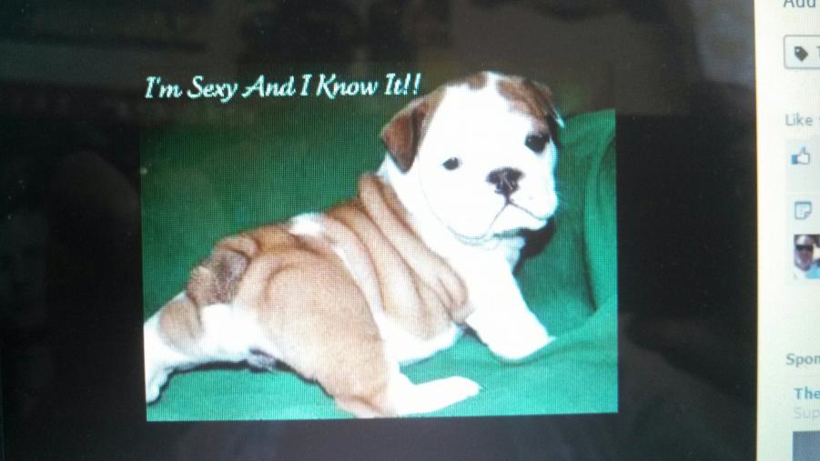 Name: ResizedImage_1387751917293.jpg
Views: 277
Size: 46.7 KB