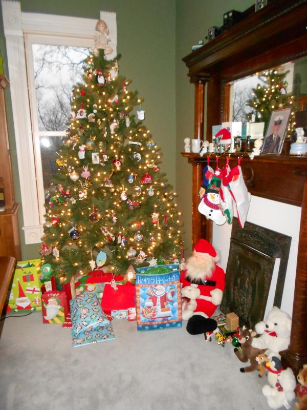 Name:  2013 christmas.jpg
Views: 80
Size:  81.5 KB