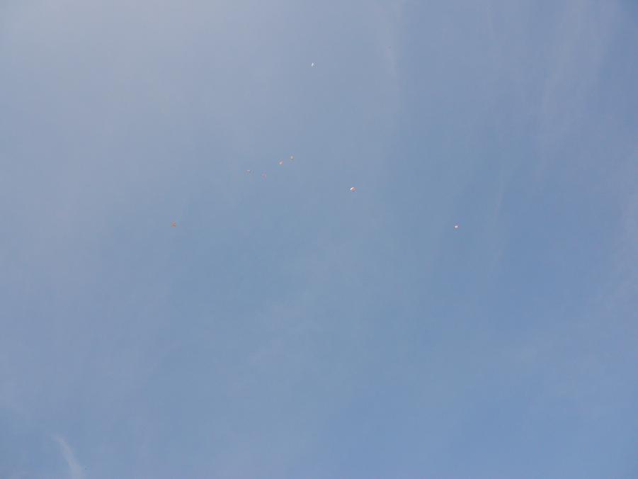 Name:  DSCN2235.jpg
Views: 666
Size:  13.6 KB