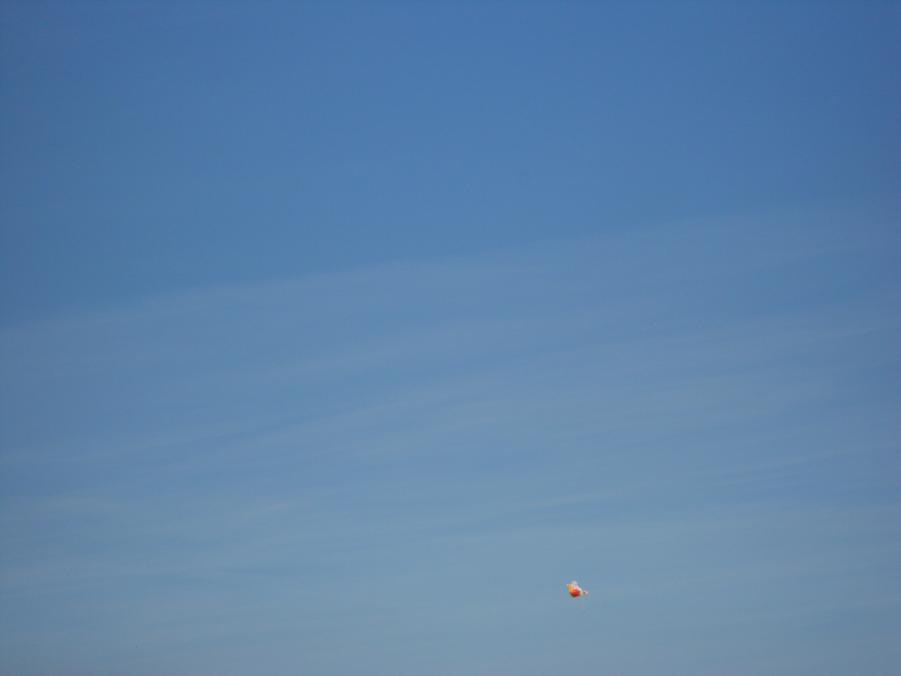 Name:  DSCN2239.jpg
Views: 665
Size:  14.4 KB