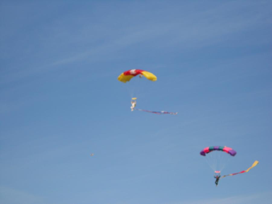 Name:  DSCN2244.jpg
Views: 639
Size:  16.3 KB
