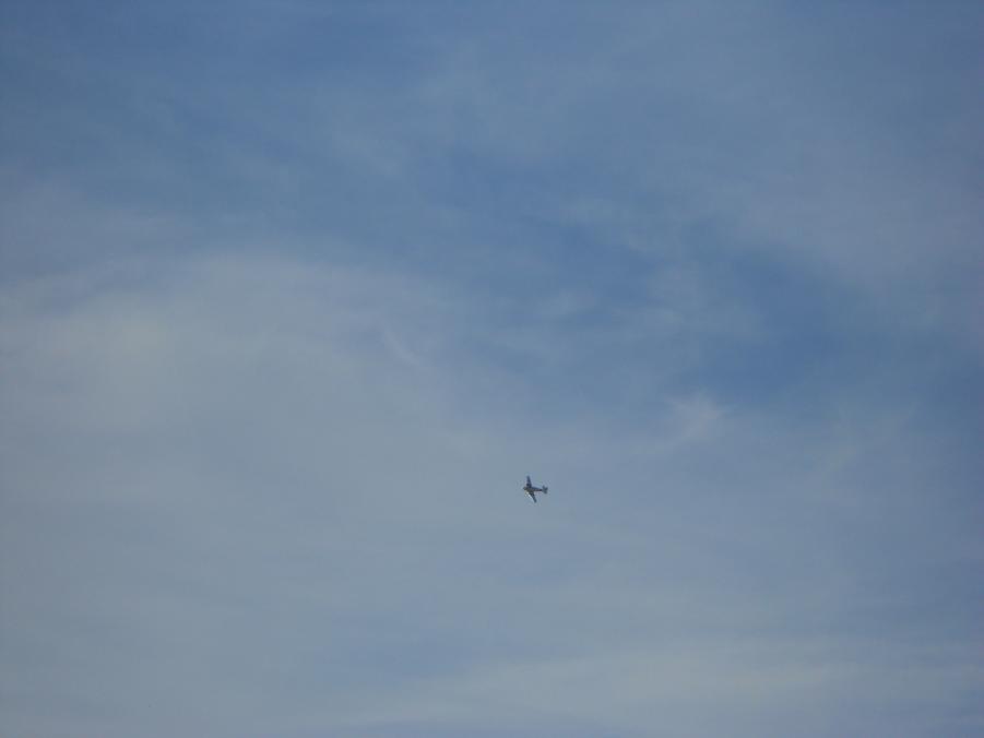 Name:  DSCN2252.jpg
Views: 671
Size:  16.2 KB