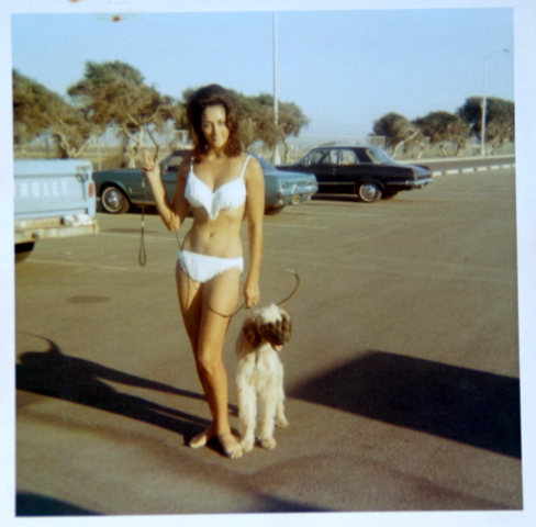 Name: IMG_3149.jpg
Views: 918
Size: 91.8 KB