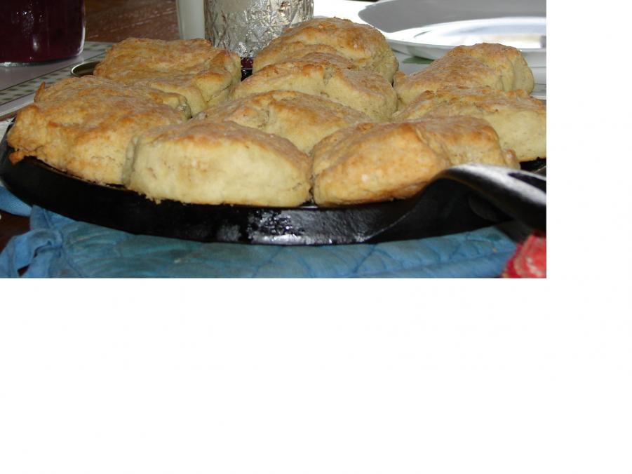 Name:  biscuit.jpg
Views: 278
Size:  48.2 KB