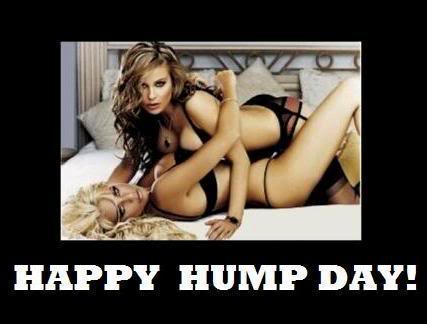 Name:  Hump day 8.jpg
Views: 64
Size:  22.3 KB