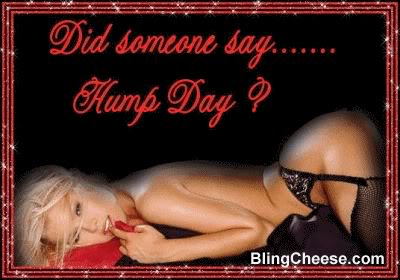 Name:  Hump Day 7.jpg
Views: 87
Size:  32.2 KB