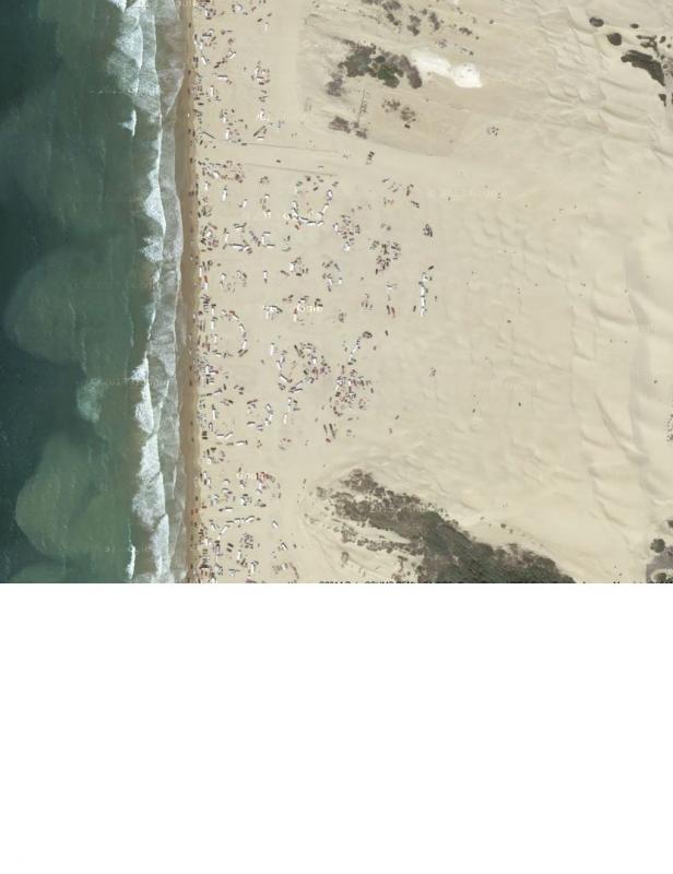 Name:  Pismo.jpg
Views: 88
Size:  43.3 KB